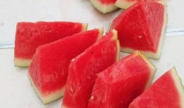 吃瓜大赛 吃瓜51在线黑料9,揭秘在线黑料，揭秘网络舆论背后的真相