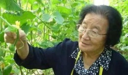 今日吃瓜黑料 黑料不打样,今日吃瓜黑料，真相大白！